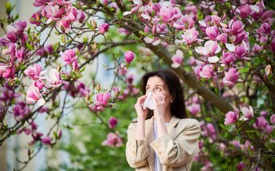 Come affrontare le allergie primaverili: guida completa ai sintomi, ai rimedi e alla prevenzione