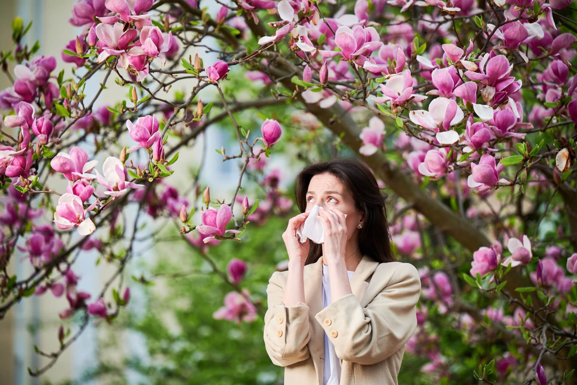 Allergie primaverili
